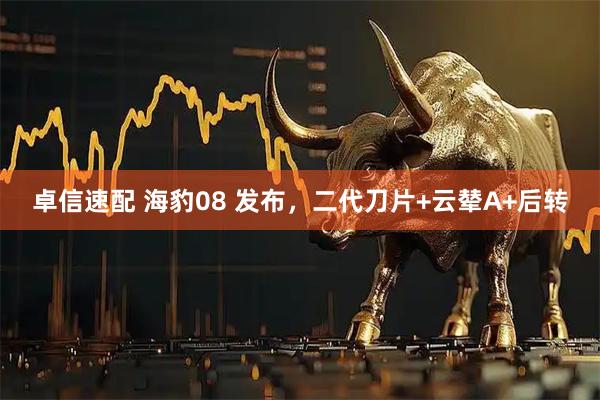 卓信速配 海豹08 发布，二代刀片+云辇A+后转