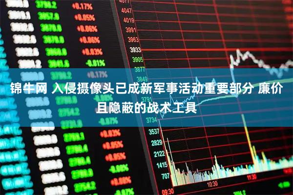 锦牛网 入侵摄像头已成新军事活动重要部分 廉价且隐蔽的战术工具